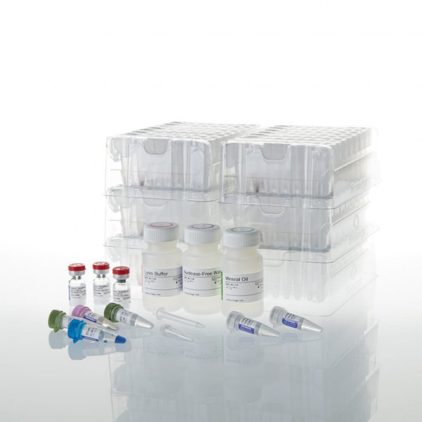 Maxwell 16 LEV RNA FFPE Kit